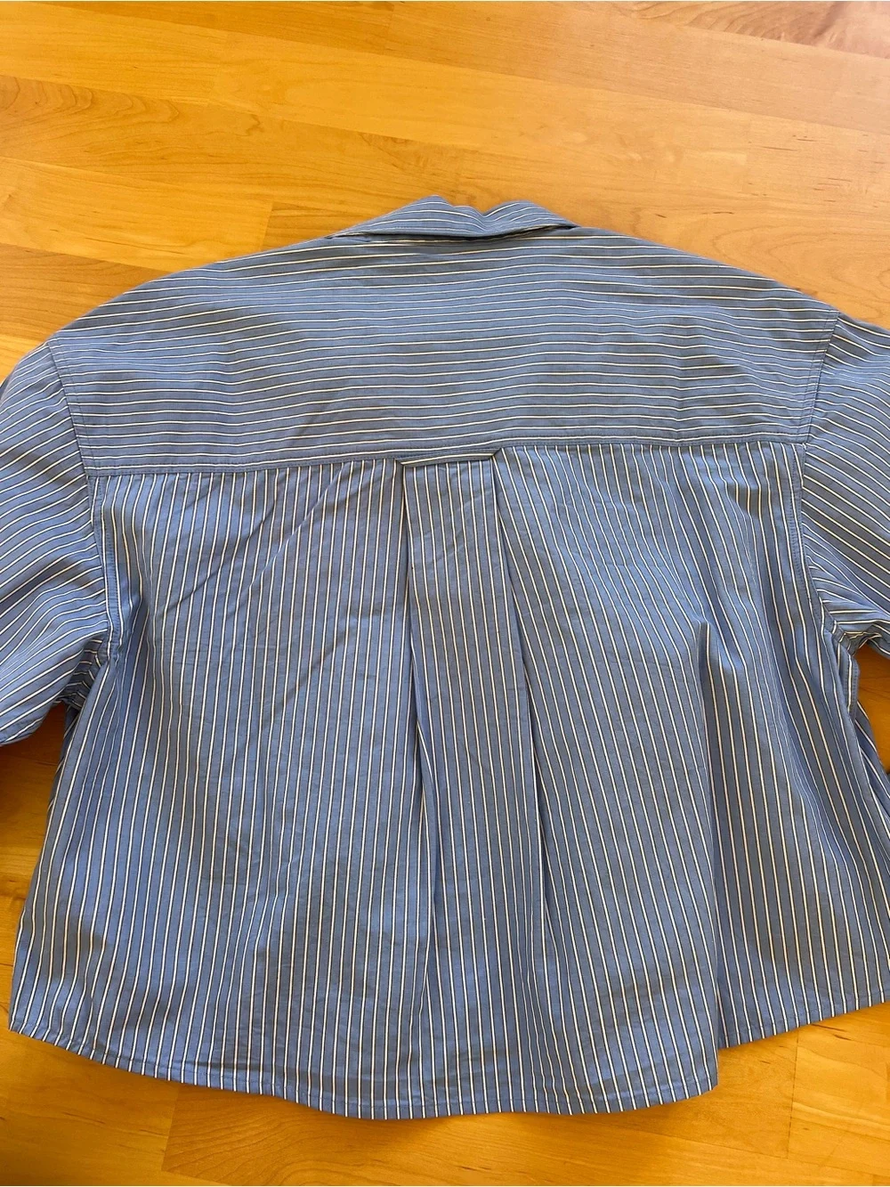 J. Crew Blue and White Pinstripe Embellished Button-Down Shirt